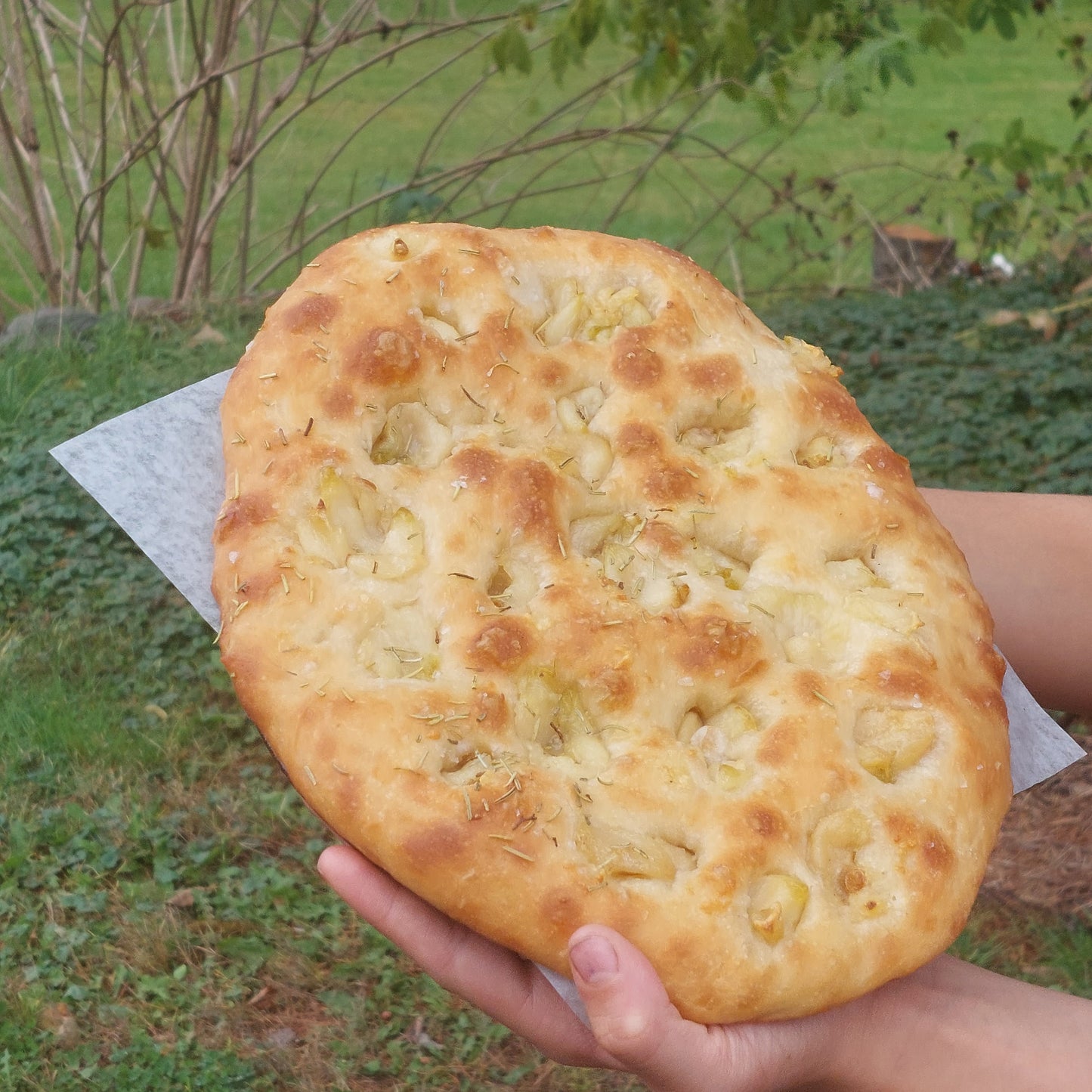 Fournée de la semaine le 9 octobre : FOCACCIA À L'AIL CONFIT (AU LEVAIN)